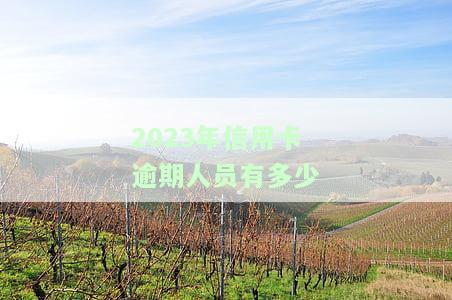 2023年信用卡逾期人员有多少