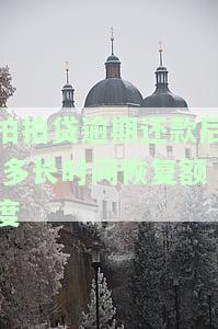 拍拍贷逾期还款后,多长时间恢复额度-拍拍贷逾期还款后,多长时间恢复额度啊