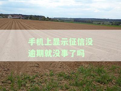 手机上显示征信没逾期就没事吗？实际还需注意哪些问题？