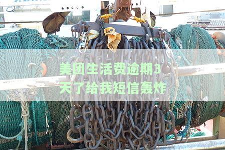 美团生活费逾期3天了给我短信轰炸