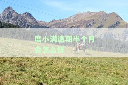 度小满逾期半个月会怎么样