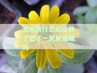 光大银行忘记还款1天：影响及解决办法