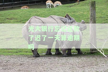光大银行忘记还款了迟了一天算逾期吗