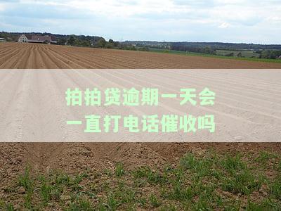 拍拍贷逾期一天的后果介绍：上征信吗？会影响以后的借款吗？
