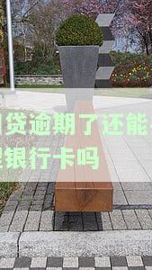 网贷逾期能否继续使用银行卡？现在如何处理？
