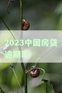 今年房贷逾期人数因疫情增加？