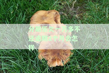 分期乐欠款1万逾期数月，真的会被起诉吗？