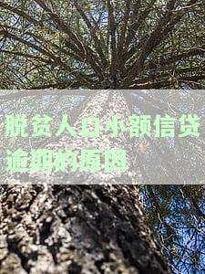 深度解析：脱贫人口小额信贷逾期原因及存在的问题