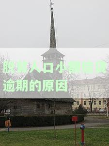 脱贫人口小额贷款：政策、申请、用途与年龄全解析