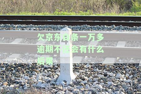 京东白条欠款一万多会被起诉坐牢吗？影响与解决方法