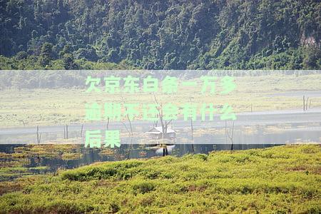 京东白条欠一万是否会上门？真实情况是什么？欠款一万多如何处理？