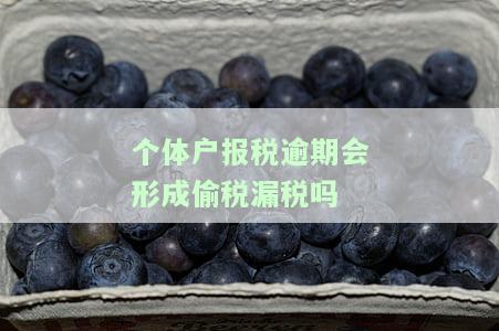 个体户报税逾期是否构成偷税漏税？如何处理？逾期罚款多少？