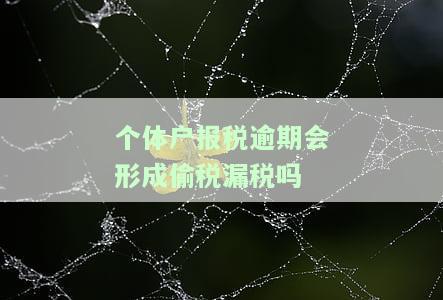 个体报税逾期的处理方式及罚款标准
