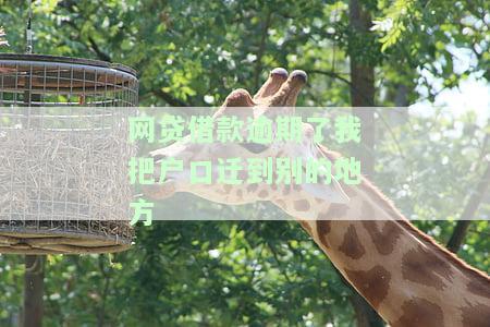 网贷借款逾期了我把户口迁到别的地方