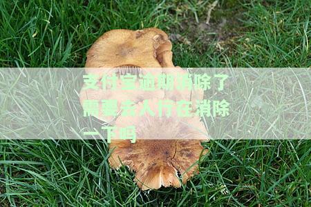 支付宝严重逾期结清后对个人有何影响？包括征信、贷款及恢复情况，一文解析