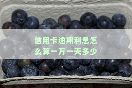 计算信用卡10000元逾期利息的方法及公式