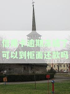 储蓄卡因为信用卡逾期被冻结，能否拖延还款？信用卡逾期导致的银行卡冻结如何解冻？逾期是否会上征信？冻结的信用卡需不需要注销？