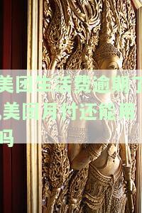 美团生活费逾期后，美团月付还能使用吗？如何解决逾期问题？