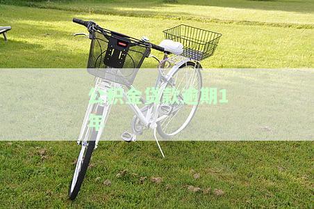 公积金贷款逾期1年有影响吗？解决办法与知乎经验分享