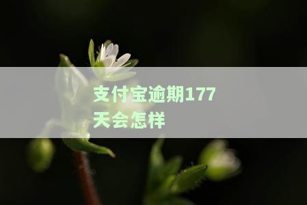 支付宝逾期170天：结清后征信如何？可能会被起诉吗？