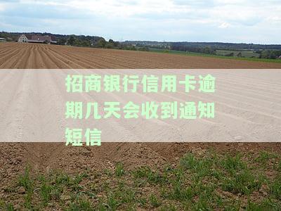 招商银行信用卡逾期多久会起诉？收到律师函后如何处理？