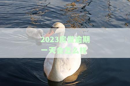 房贷逾期2021：20次逾期还款的影响与20天逾期的后果
