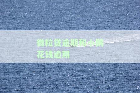 微粒贷逾期与小鹅花钱逾期有何区别？微信小鹅花钱与微粒贷的关系及申请条件解析