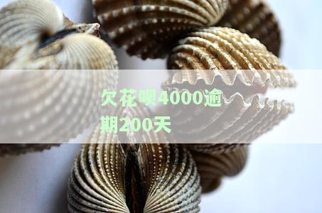 欠花呗4000多元逾期：利息、能否乘坐火车及是否会坐牢？