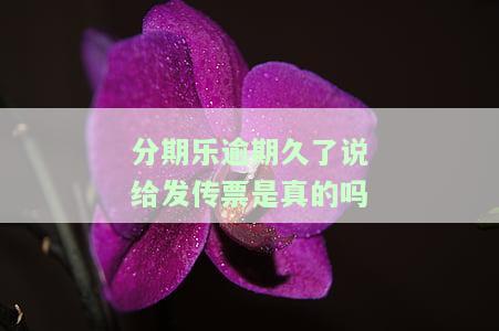 分期乐逾期60天将被起诉，收到法院传票