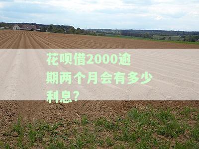 花呗2000元逾期2个月会产生哪些后果？