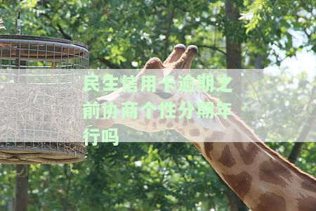 民生银行协商分期：第一期为何还款多？60期方案可否申请？手续费能否减免？