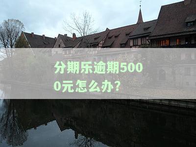 分期乐逾期5000元怎么办？