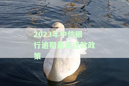 2023年中信银行逾期最新还款政策全解析：查询方式、影响及解决办法