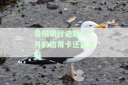 贵阳银行逾期8个月的信用卡能否继续使用？知乎上有答案吗？