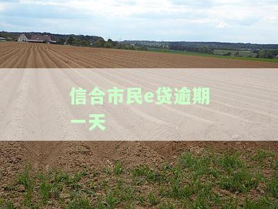 信合市民e贷：逾期一天的后果、还款方式及提前还款说明，申请条件全知道