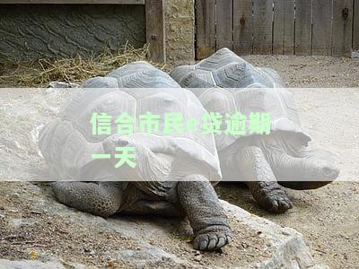 信合市民e贷：可以提前还款吗？安全吗？如何操作？