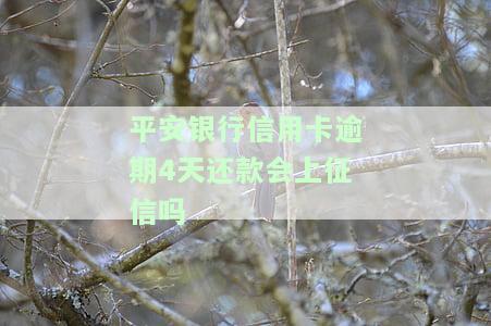 平安银行信用卡逾期一天会产生不良记录吗？逾期4天如何补救？