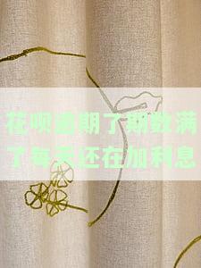 花呗逾期了期数满了，每天还会继续加利息吗？真的吗？该怎么办？逾期每天都有利息吗？