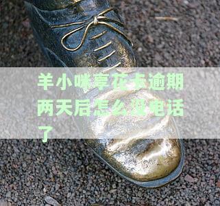 羊小咩享花卡逾期一个月的影响及后果