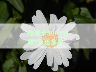 信用卡5000逾期7年还多少利息？全解析！