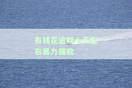 有钱花逾期十天暴力催收可能引发司法程序