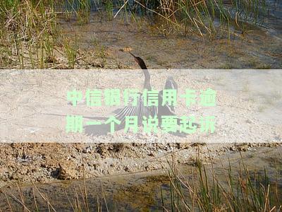 中信银行欠款一万多逾期2个月将被起诉，如何处理及可能产生的费用？