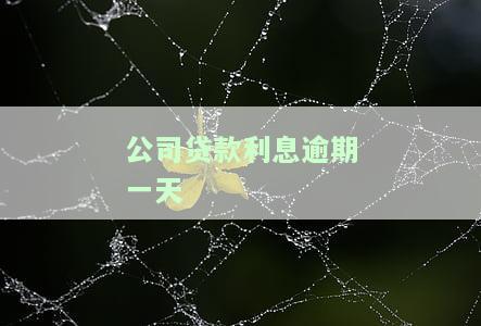 公司贷款利息逾期一天