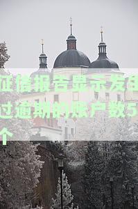 征信报告显示发生过逾期的账户数5个