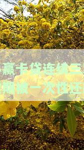 小赢卡贷逾期几次？还清后能否再次借款？