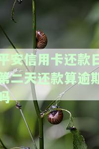 平安银行还款日第二天才还款，会否算作逾期？有何影响？