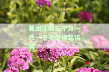 美团逾期三个月一共一千多会被起诉嘛-美团逾期三个月一共一千多会被起诉嘛