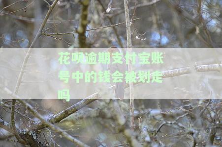 花呗逾期支付宝账号中的钱会被划走吗