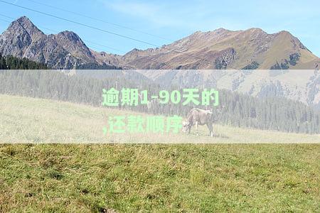 逾期190天的还款顺序：如何处理超过90天以上的欠款？