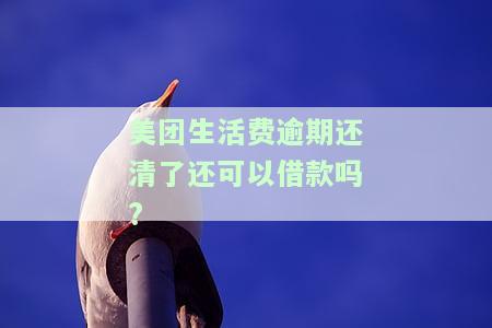 美团生活费逾期还清后能否再次借款？